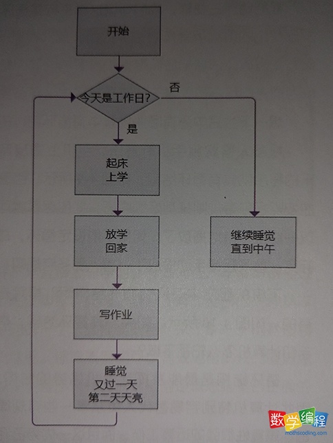 scratch循环画流程图