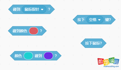 用于构建判断条件的积木指令