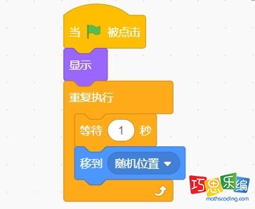 角色Shark代码
